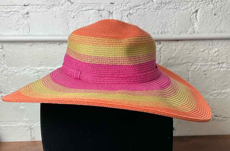 Bids & Dibs, Inc. Multi-Color Hat