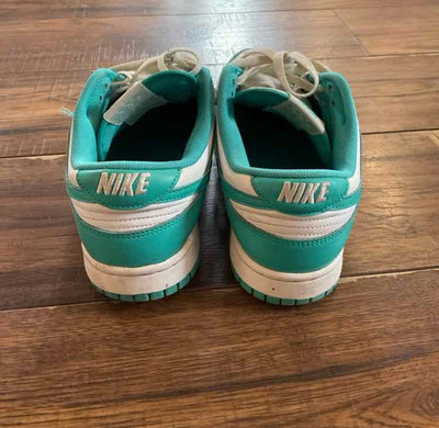 Nike 8.5 Aqua Womens Shoes