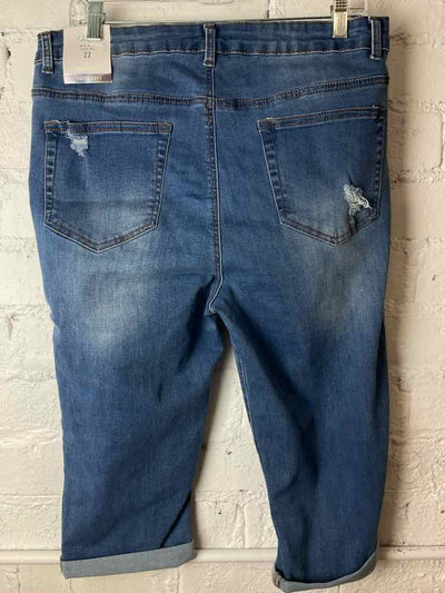 Bids & Dibs, Inc. Size 22 Blue Capri