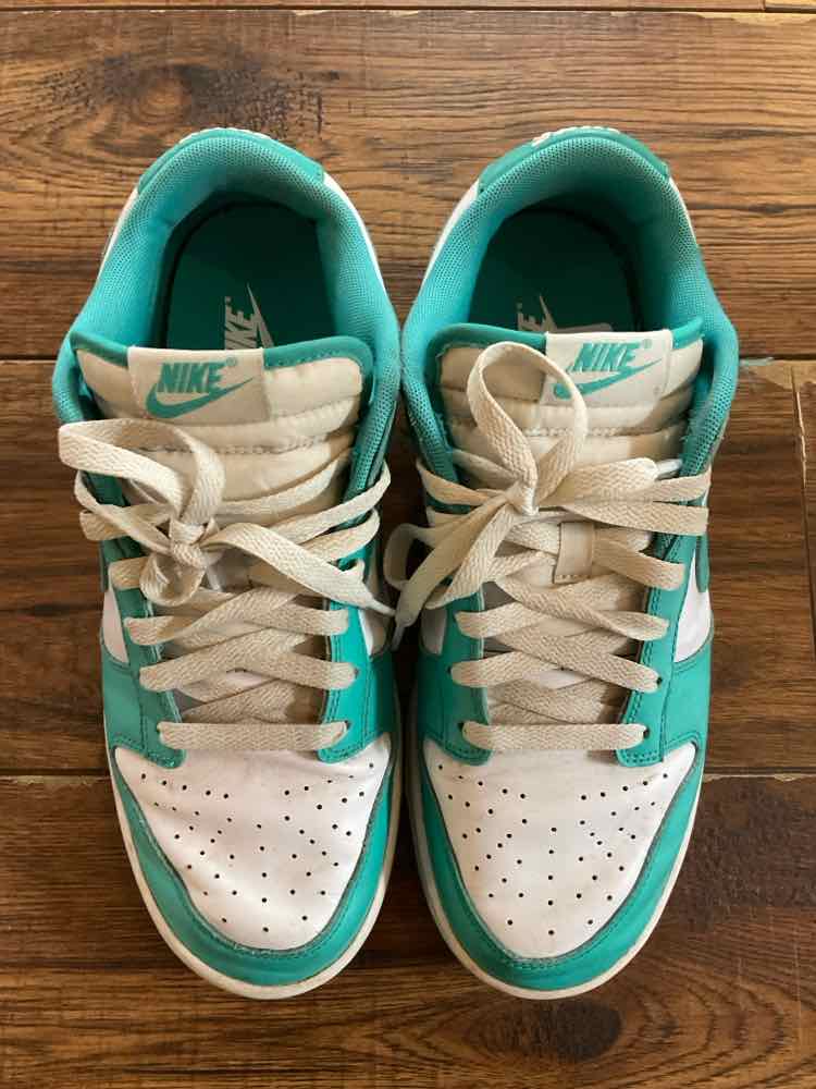 Nike 8.5 Aqua Womens Shoes