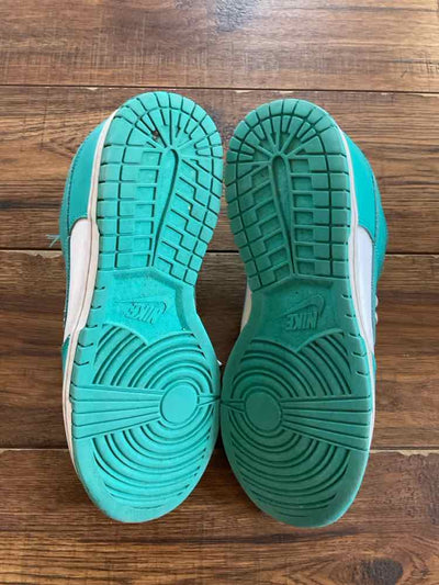 Nike 8.5 Aqua Womens Shoes